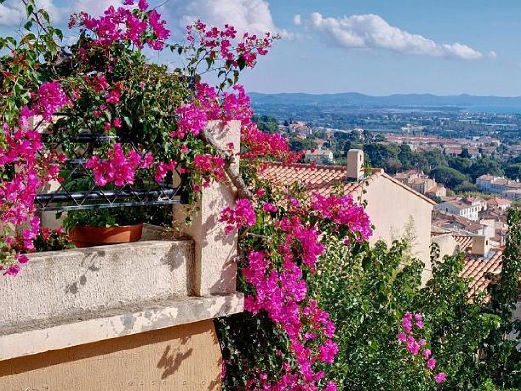183 HYERES ET SES PALMIERS D13_000022.jpg